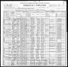 census_1900_lester