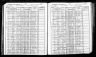 new_york_state_census_1905_theresa
